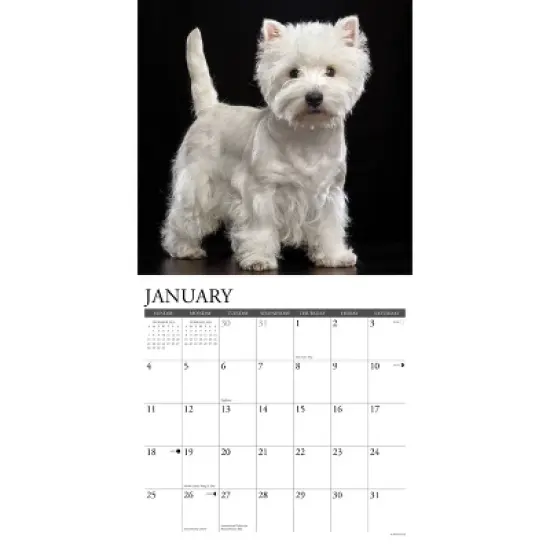 Willow Creek Press 2026 Westies Wall Calendar image {2}
