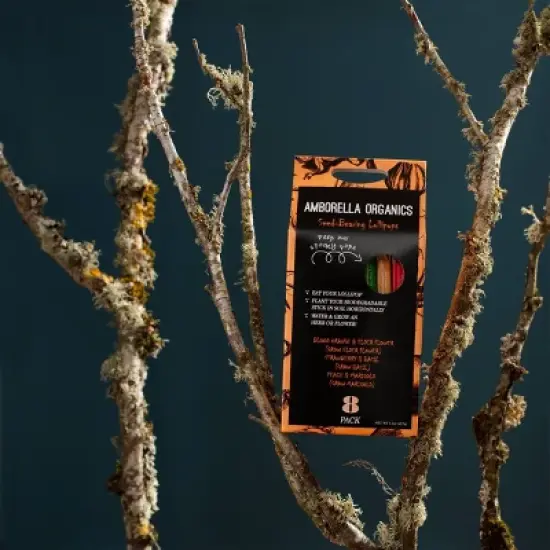 Amborella Organics 8pk Spooky Season Seed-Bearing Lollipops Flower Seeds image {4}