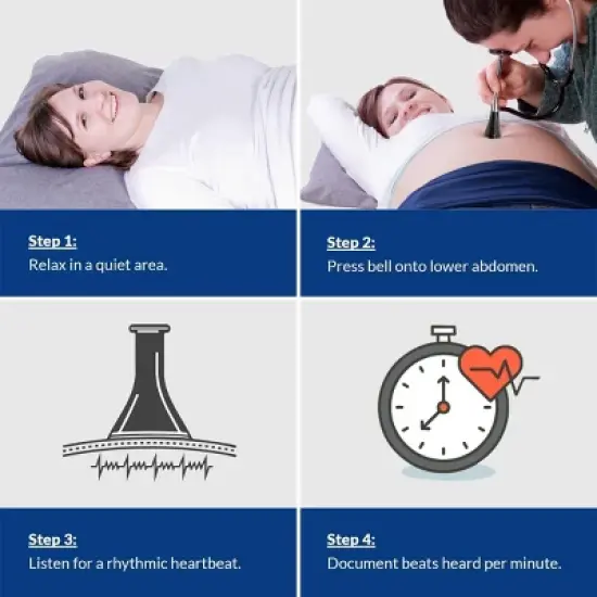 Fetal Stethoscope with Pinard Horn & Soft Earbuds image {3}