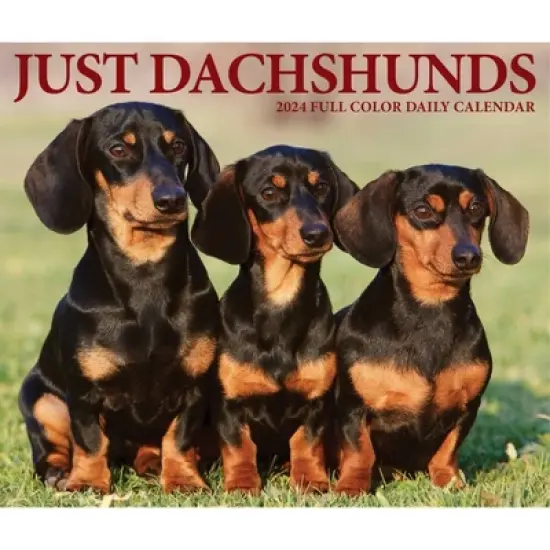 Willow Creek Press 2024 Daily Desk Calendar 5.2"x6.2" Dachshunds image {4}