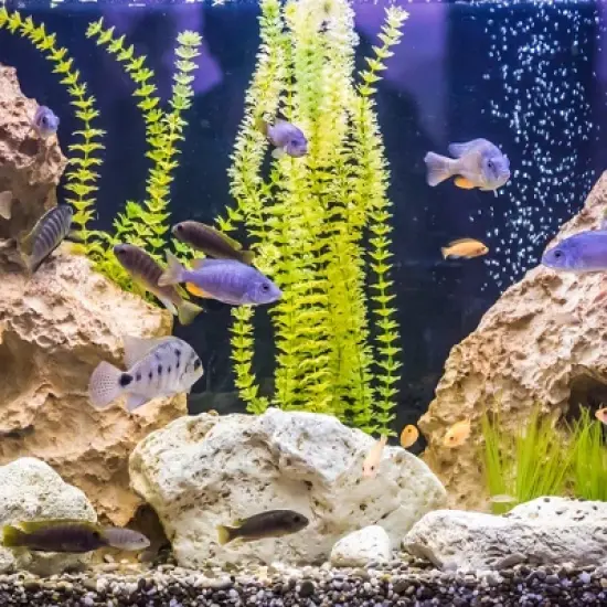 Unique Bargains Aquarium Decoration Fish Hiding Ceramic Cave Brown 7.09"x3.62"x2.36" 1 Pc image {1}