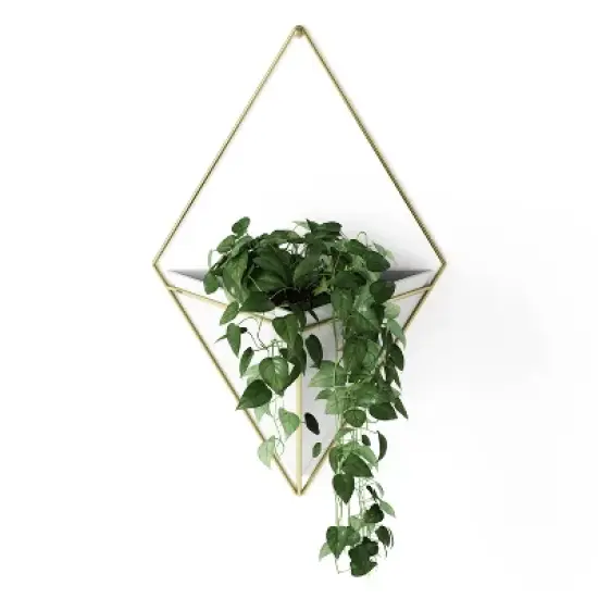 Trigg Wall Display Planter White/Brass - Umbra image {4}