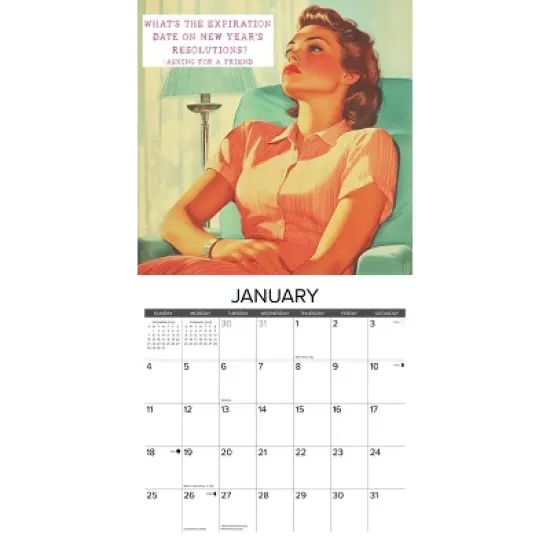 Willow Creek Press 2026 Asking for a Friend Wall Calendar image {2}