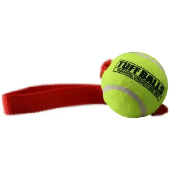 Petsport Fetch Me Fido Tuff Balls Dog Toy image {1}