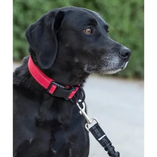 Happilax 11'' - 13'' Dog Collar - Black - Small image {2}