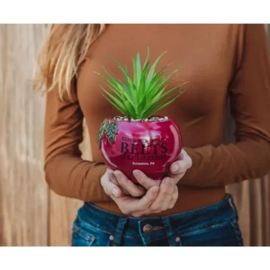 Silver Buffalo The Office Schrute Farms Rustic 8-Inch Planter With Artificial Succulent image {5}