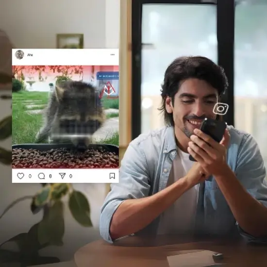 PiFi All-in-One Smart Pet Feeder AI-Powered Dog Feeder - Indoor & Outdoor Use - Dual 1080p HD Cameras - Two-Way Audio image {6}