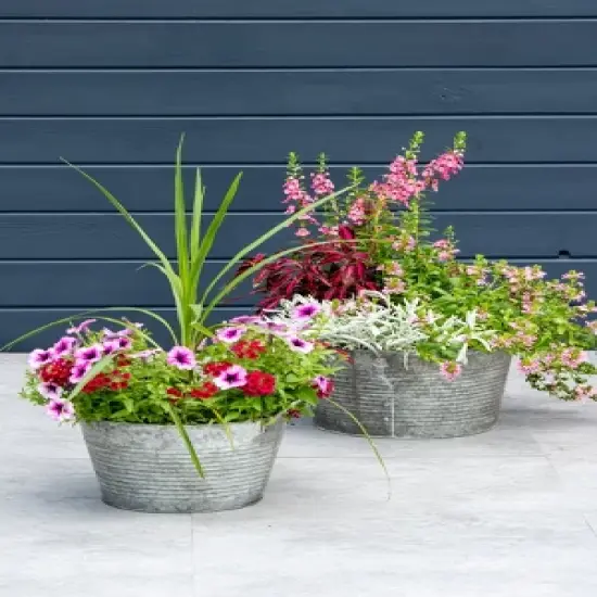 Gardener's Supply Company Galvanized Planter | Sturdy Vintage Style Galvanized Wash Basin Farmhouse Metal Planters With Side Holders For Herbs, image {1}