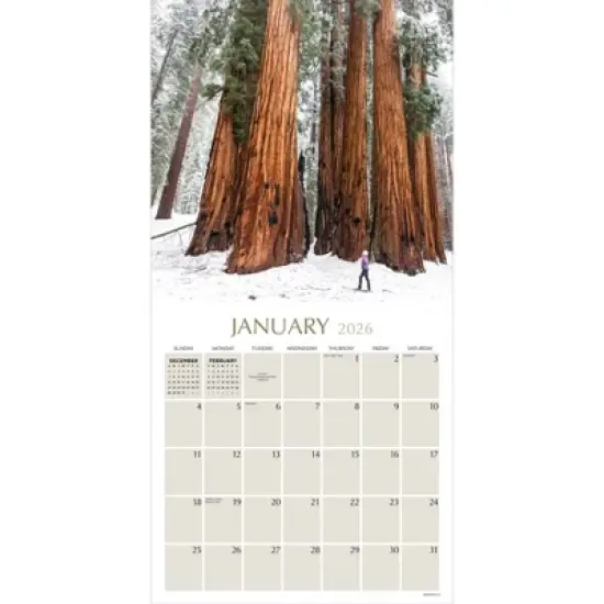 TF Publishing 13.5"x14.5" 2026 Trees Wall Calendar image {5}