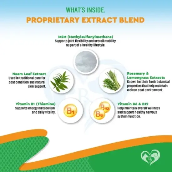 Beloved Pets Oral Flea & Tick Support Multivitamin Supplement for Dogs & Cats, 2 Oz - 1 Pack image {3}