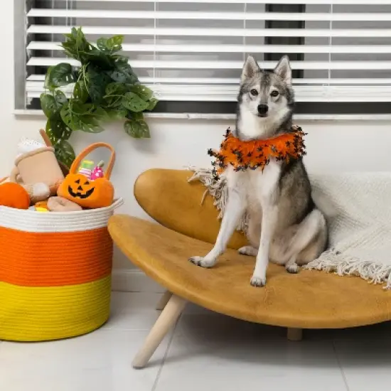 Midlee Witch Halloween Decorative Dog Collar image {3}