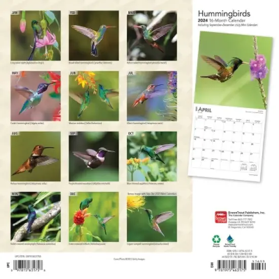 Browntrout 2024 Wall Calendar 12"x12" Hummingbirds Foiled image {1}