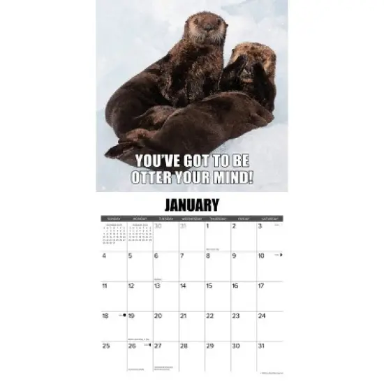 Willow Creek Press 2026 In Otter News Wall Calendar image {2}