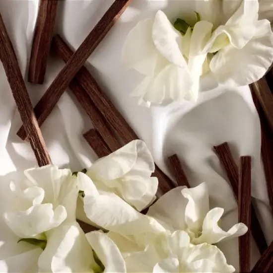 Fine'ry Body Mist Fragrance Spray - I'm a Musk - 5.07 fl oz image {4}