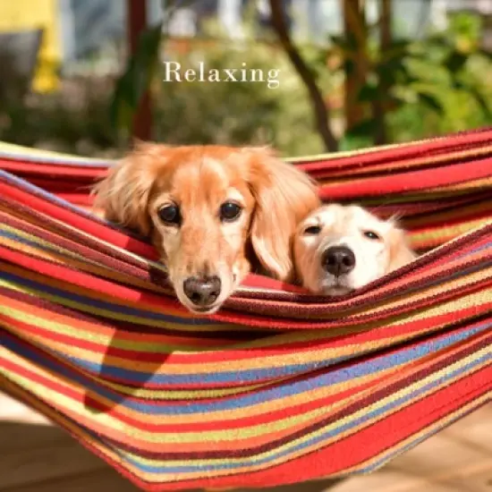 Hastings Home Double Hammock and Stand image {4}