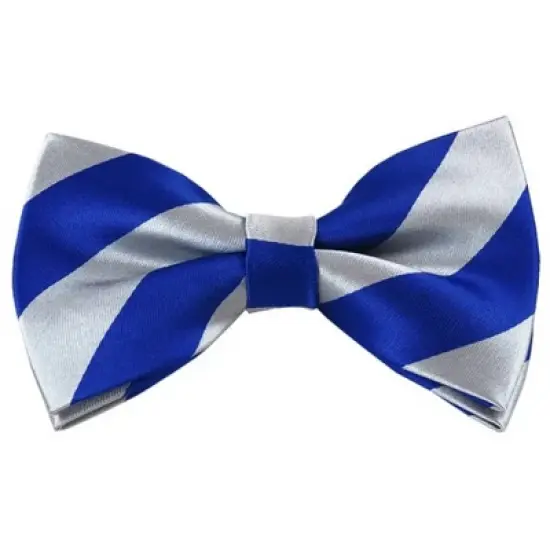 Men's 2.75 W And 4.75 L Inch With Pre-Tied College Stripe Bowtie image {10}