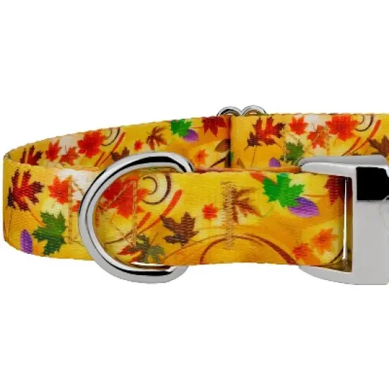 Country Brook Petz Premium Dog Collar - Awesome Autumn Collection image {5}
