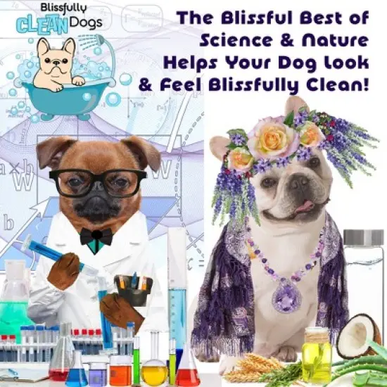 The Blissful Dog Visibly Vibrant Coat Enhancing Dog Shampoo image {6}