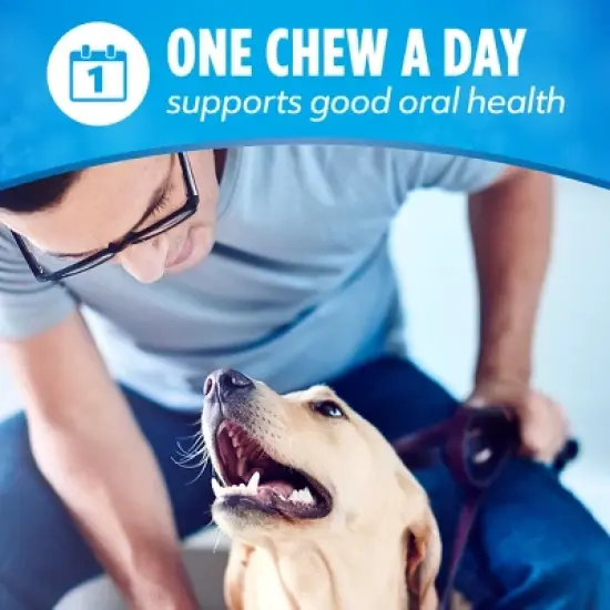 Dentalife Daily Mini Original Flavor Dental and Hard Chews Dog Treat - 6.8oz/24ct image {7}