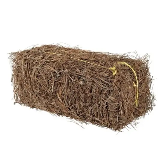 Garden Elements Long Leaf Pine Straw Bale for Mulch, Soil Amendment and Fall Decoration, 24.5" image {5}