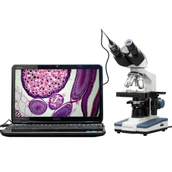 40X to 2500X Binocular Compound Microscope with Digital Camera and Interactive Software - AmScope image {8}