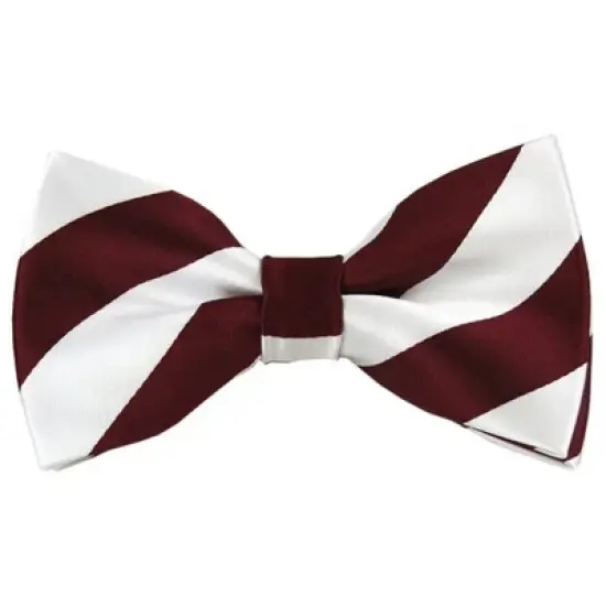 Men's 2.75 W And 4.75 L Inch With Pre-Tied College Stripe Bowtie image {24}