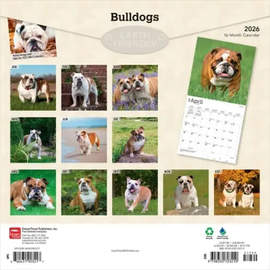 BrownTrout Bulldogs 2026 12"x24" Hanging Square Wall Calendar Plastic-Free image {1}