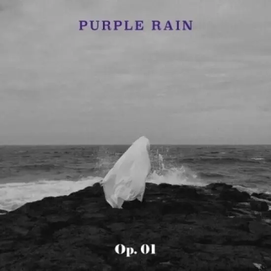 Purple Rain - Op. 01 (incl. Booklet) (CD) image {1}