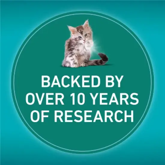 Purina ONE LiveClear Chicken Flavor Kitten Dry Cat Food - 2.8lb image {14}