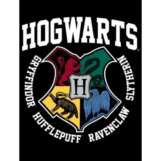 Harry Potter Hogwarts Houses Pride Black T-shirt Toddler Boy to Youth Boy image {1}
