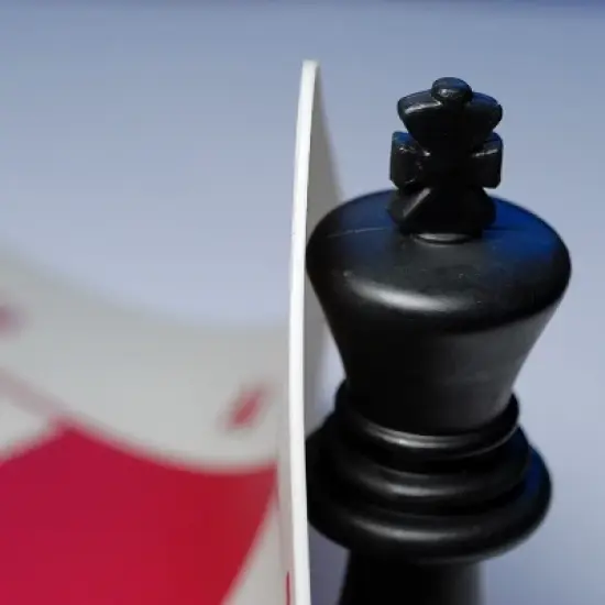 WE Games The Original 100% Silicone Tournament Chess Mat - 20 Inch Board image {2}