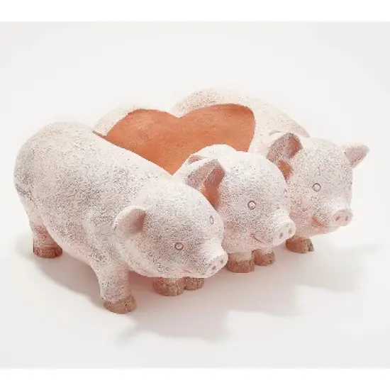 Evergreen PIG PLANTER image {1}