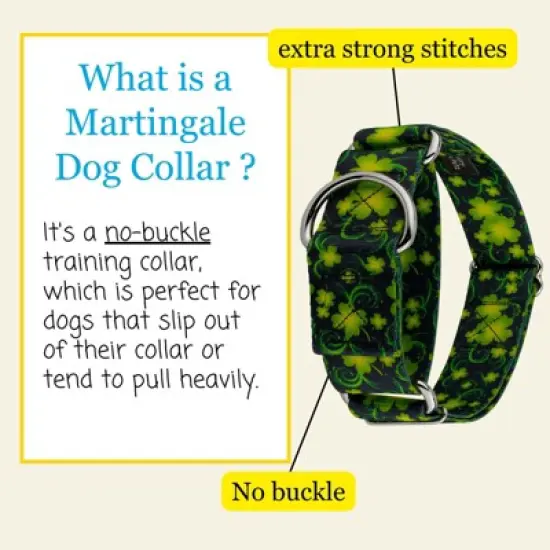 Country Brook Petz HossFit Jr Wide Martingale Dog Collar - Irish Pride image {2}