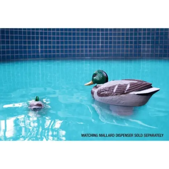 Poolmaster Mallard Duck Floating Swimming Pool and Spa Thermometer image {4}