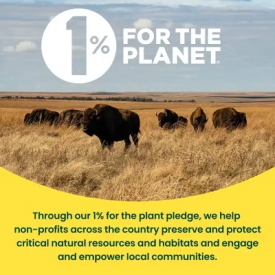 Sunday Water Focus Fertilizer 42fl oz image {8}