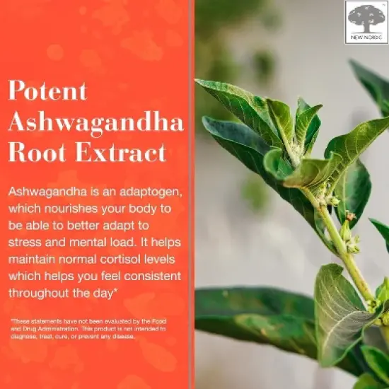 NEW NORDIC Ashwagandha Vegan Gummies - 300 mg Ashwagandha Root Extract , Sugar Free - Adaptogens for Men & Women - Delicious Mango Peach - 60 Gummies image {5}