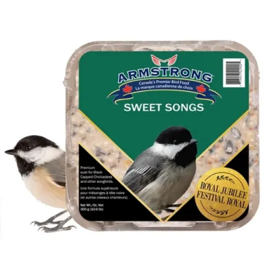 Armstrong Wild Bird Food Royal Jubilee Sweet Songs Suet Cake for Songbirds, 10.6oz (Pack of 3) image {1}