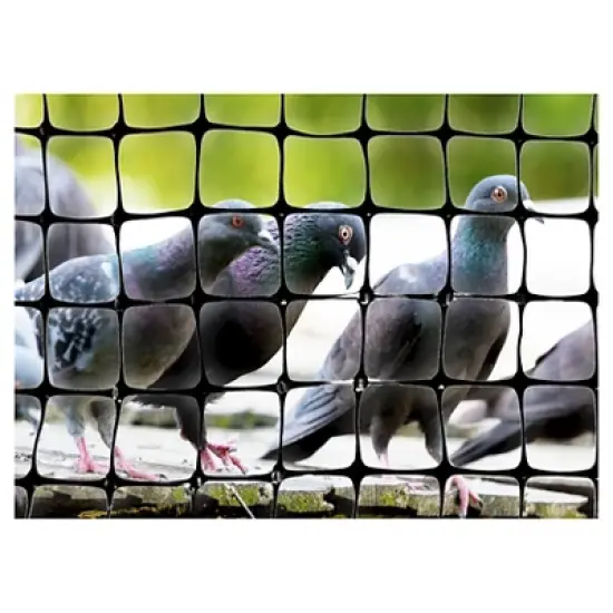100'x14' Standard Bird Netting - Bird-X image {1}