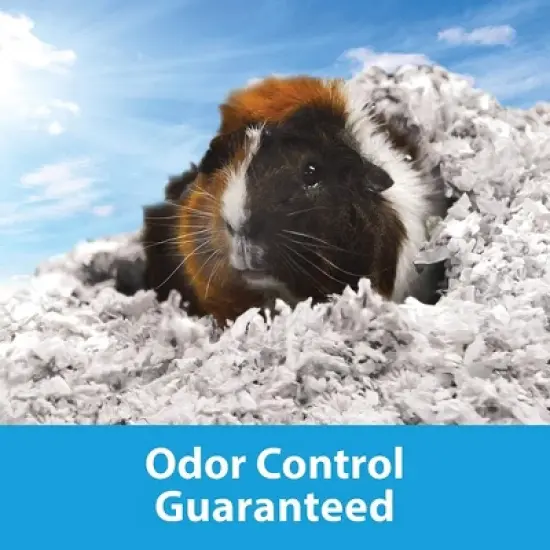 Kaytee Clean & Cozy Odor Control Small Animal Bedding, White, 85L image {2}