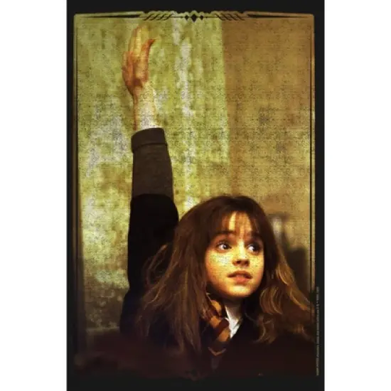 Girl's Harry Potter Hermione Hand Raise T-Shirt image {1}