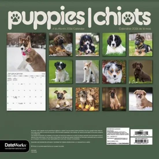Trends International 2026 Puppies Bilingual French 12"x12" Wall Calendar image {3}