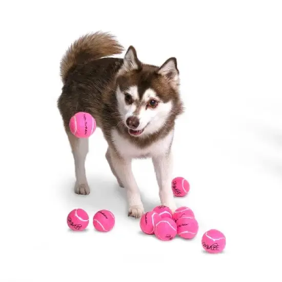 Midlee Happy Birthday Dog Tennis Balls image {5}