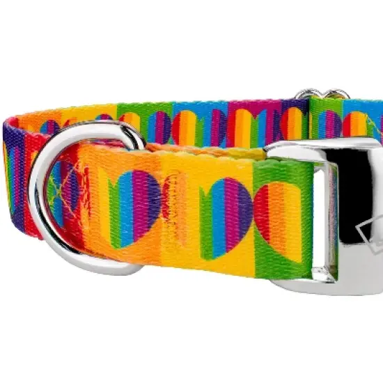 Country Brook Petz Premium Rainbow Hearts Dog Collar image {3}