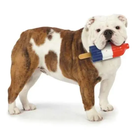 Cool Pup Cooling Dog Toy Rocket Pop, Large image {4}