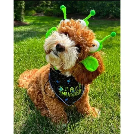 Midlee Alien Dog Headband Costume image {3}