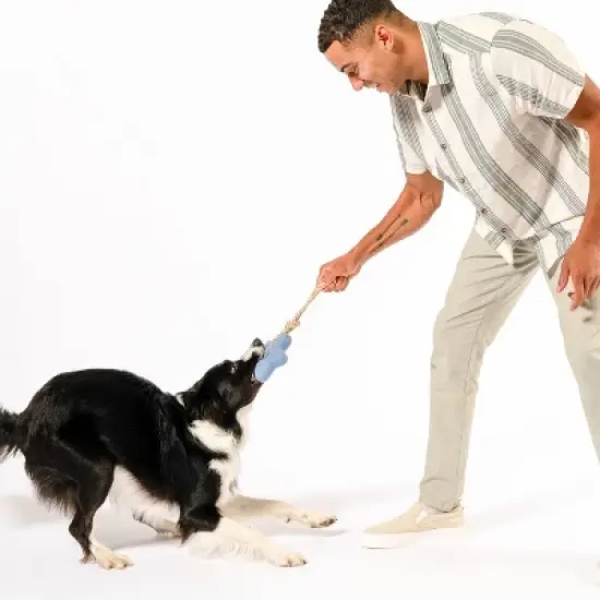 AWOO Comet's Tail Dog Toy image {2}