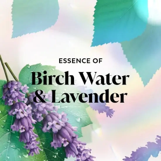 Olay Fresh Outlast Body Wash Birch Water & Lavender - 33 fl oz image {3}