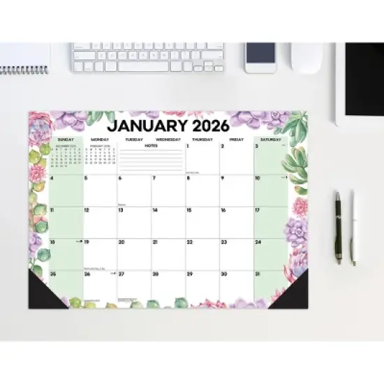 Willow Creek Press Succulents Academic July 2025 - June 2026 17"x12" Small Monthly Deskpad Calendar image {5}