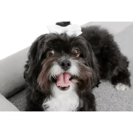 TailZzz Asher Wooden Pet Bed with Mattress  Elevated Pet Bed Greenguard Gold Certified Wooden Pet Bed image {9}