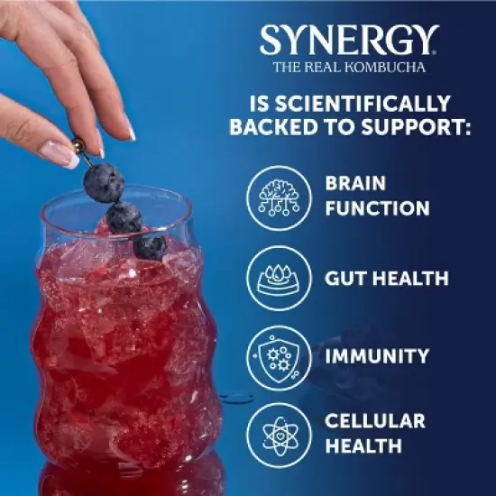 Synergy The Real Kombucha, Gingerade &ndash; 16 fl oz image {12}